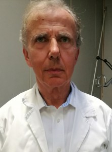 stefanini lino